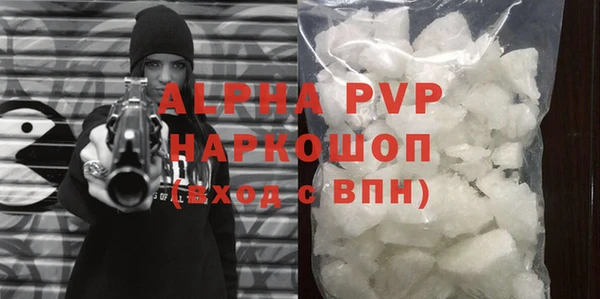 ECSTASY Горняк