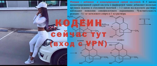 ECSTASY Горняк