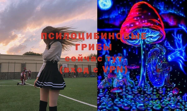 ECSTASY Горняк