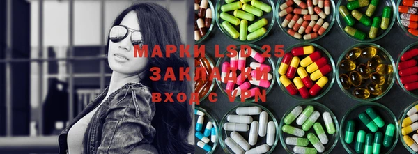 ECSTASY Горняк