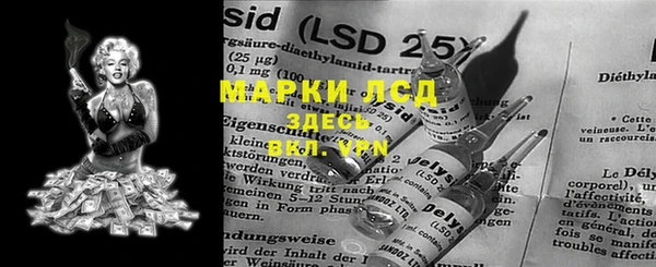 ECSTASY Горняк