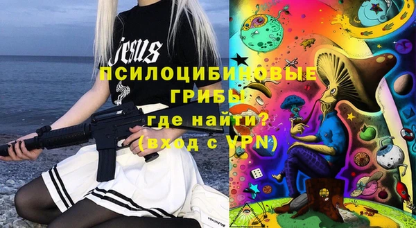 ECSTASY Горняк