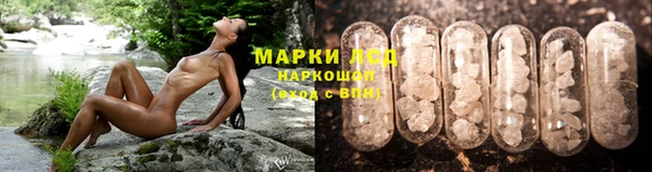 ECSTASY Горняк