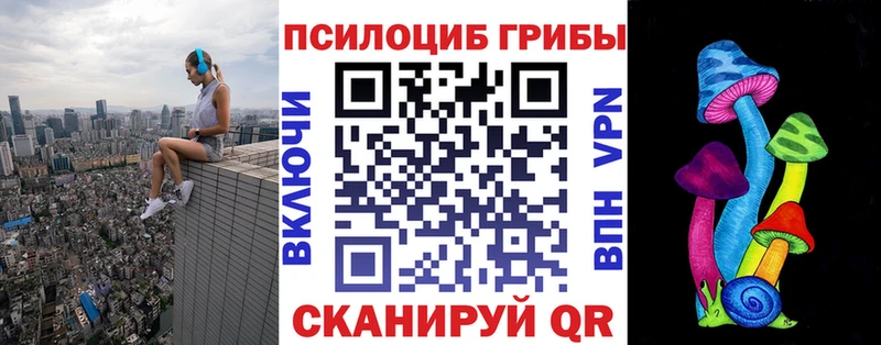 купить  сайты  Нижневартовск  Псилоцибиновые грибы Cubensis 